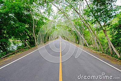 The road with do not pass with line is solid, on the road side o Stock Photo