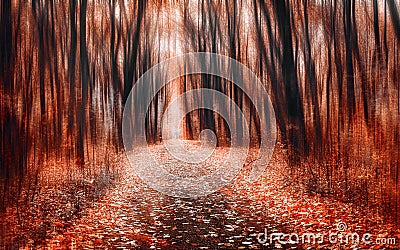 The road through the dramatic forest Stock Photo