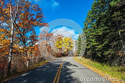 Road in a fall forest Stock Photo