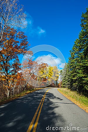 Road in a fall forest Stock Photo