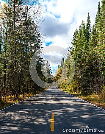 Road in a fall forest Stock Photo