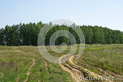The road in the field, going to the forest. The road stretching into the distance. The path in early autumn. Natural landscape Stock Photo