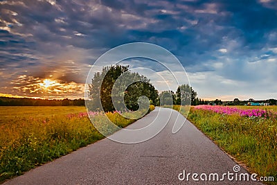 Road in the field at sunset. Summer field. Asphalt road. Summer landscape. Russian roads Stock Photo