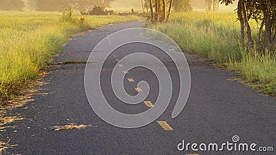 Road Fields Sunrise Stock Photo