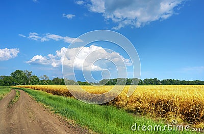 Road through fields Stock Photo