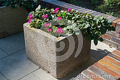 Road Flower Pot, Street Bed, Modern City Floristry, Urban Flowerbeds Design, City Flowers Landscaping Stock Photo