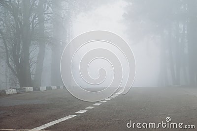 Road in fog forest. Dangerous road due to fog Stock Photo