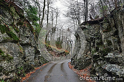 Road in the forest near Hohenschwangau castle in Germany Stock Photo