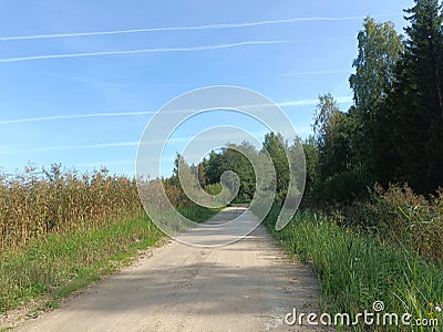 Road in forest in Siauliai county during sunny day Stock Photo