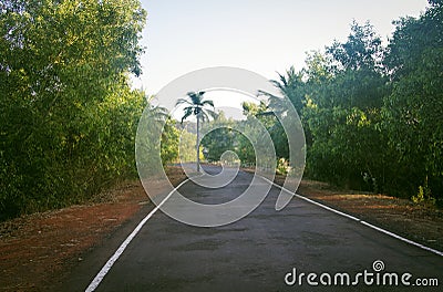 Road in Goa India at sunny day Stock Photo