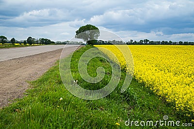 Road, grass, sky and a field Stock Photo