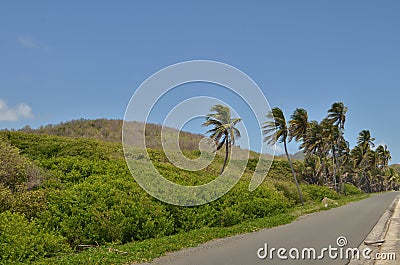 Road in Grenada landscape caribbean Green Island Jungle nature Stock Photo