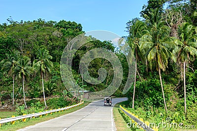 Road in the jungle in the Philippines Editorial Stock Photo