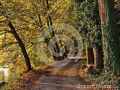 Road by the lake Orestiada, Kastoria Greece. Sunrise golden light, beautiful foliage of maple trees Stock Photo