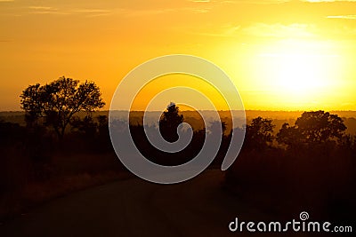 Sunset over Kruger National park in South Africa with road curving Stock Photo