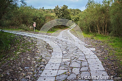 The road leads to a fork. Which do you choose? Stock Photo