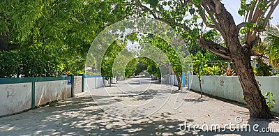 A road leads to Jetty in maldives where peoples takes ferry or boats. Road in Maldives local island Stock Photo