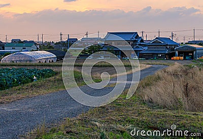 Road leads to large Japanese family home with fields and greenhouse in farming village at sunrise Editorial Stock Photo