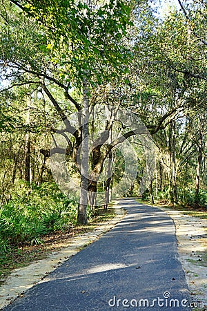 A road in the lettuce park Stock Photo