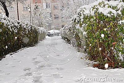 Road with little white and fluffy snow Stock Photo