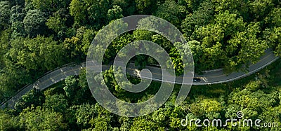 Road in the middle of the forest , road curve construction up to mountain. Stock Photo