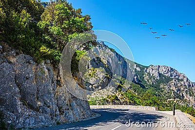 The road and migrating cranes Stock Photo