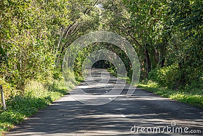 A road from Mossman Gorge to Port Douglas in Queensland, Australia Editorial Stock Photo