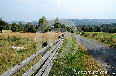 Road in the mountains Stock Photo