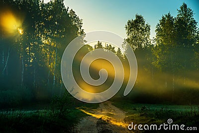 Road near forest at sunrise light Stock Photo