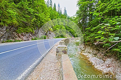 Road near river in Bicaz Gorge Stock Photo