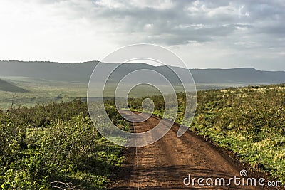 Road in Ngorongoro crater Stock Photo