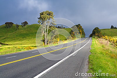 Road With Painted Double Yellow Line, New Zealand Stock Photo