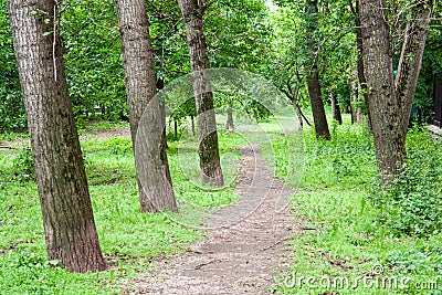 Road through the park. nature, background. Stock Photo