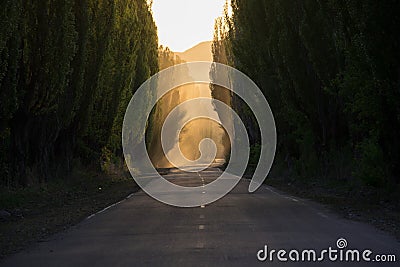 The road is quiet. Smoke. Perspective. Stock Photo