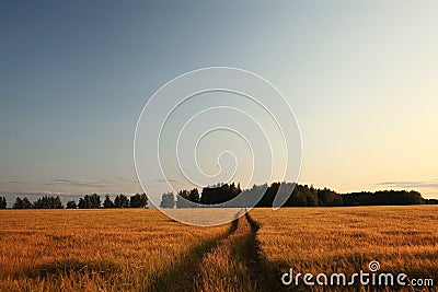 Road on the ranch Stock Photo