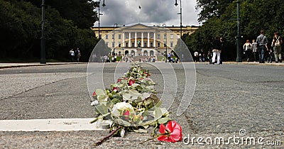 Road of roses towards the norwegian castle Editorial Stock Photo