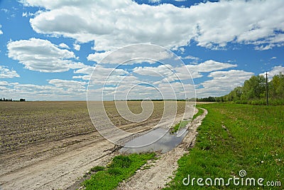 A road in rural area. A rural sand road with a puddle along a newly sown agricultural field and a green meadow in spring Stock Photo