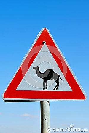 Road Sign - Beware Camel Crossing Stock Image - Image: 18152601