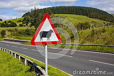Road Sign Warning of Sheep in Wales Stock Photo