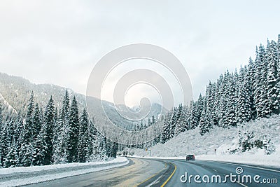 Road through Snow in winter ,Washington Stock Photo