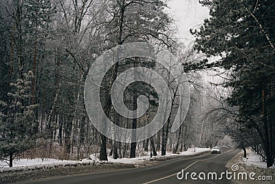 road through the snowy Siberian forest Stock Photo