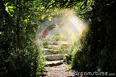 Road and stone stairs in magical and mysterious dark forest with mystical sun light. Fairy tale concept Stock Photo