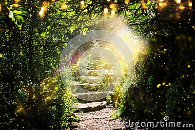 Road and stone stairs in magical and mysterious dark forest with mystical sun light and firefly. Fairy tale concept Stock Photo