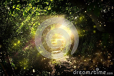 Road and stone stairs in magical and mysterious dark forest with mystical sun light and firefly. Fairy tale concept Stock Photo