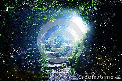 Road and stone stairs in magical and mysterious dark forest with mystical sun light and firefly. Fairy tale concept Stock Photo