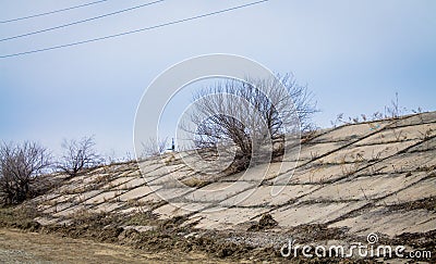 Road strengthening. concrete slabs on the slope. a bush without leaves grows between concrete slabs. Stock Photo
