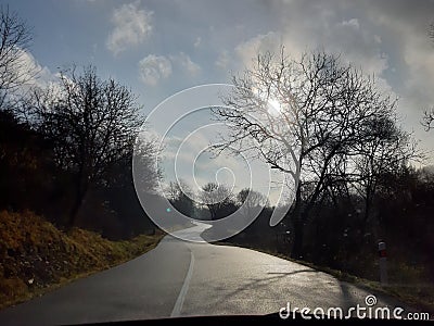 Road sun in tree left and right road Stock Photo