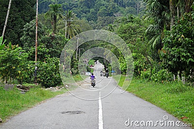 Road thru the jungle in Indonesia Editorial Stock Photo