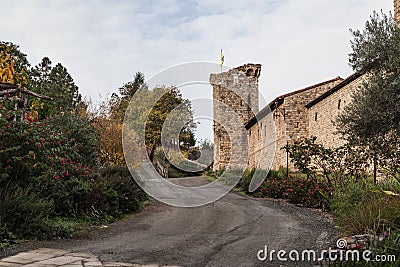 Road to the castle Editorial Stock Photo