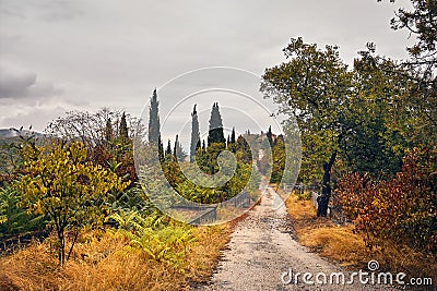 Cemetery in Signagi at autumn Stock Photo